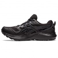 Кросівки для бігу жіночі Asics GEL-SONOMA 7 GTX Black/Carrier grey